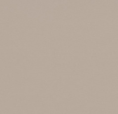 Линолеум Forbo Sarlon Colour 15dB 863T4315 beige grey uni фото 1 | FLOORDEALER